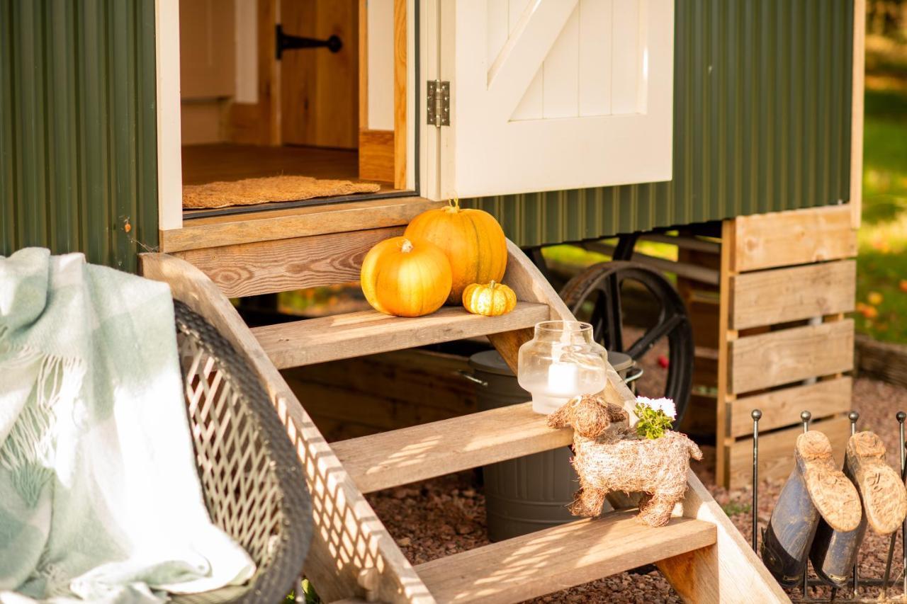 Harrys Hideout - Shepherd'S Huts At Harrys Cottages Pen-y-Clawdd Exterior foto